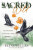 Sacred Wild - Amy Blackthorn,Elyse Welles