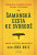 Šamanská cesta ke svobodě - Don Ruiz