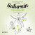 Saturnin se představuje - Zdeněk Jirotka,Miroslav Macek