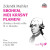 Sbohem, můj krásný plameni / Zlomky o životě a díle W. A. Mozarta - Zdeněk Mahler