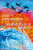 Searching for the Remarkable in Things - Natalie Lucy