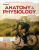 Seeley's Anatomy & Physiology ISE - Andrew Russo,Jennifer Regan,Cinnamon VanPutte