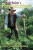 Sepp Holzer's Permaculture: A Practical Guide for Farms, Orchards and Gardens - Sepp Holzer