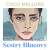 Sestry Blueovy - Coco Mellors