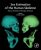 Sex Estimation of the Human Skeleton : History, Methods, and Emerging Techniques - Klales Alexandra R.
