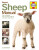 Sheep Manual - Shankland Liz