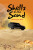 Shells on the Sand - Shaheryar Mian