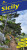 Sicily Sunflower Walking Guide - 