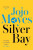 Silver Bay - Jojo Moyes