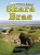 Skara Brae - Dawn Finch