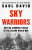 Sky Warriors - Saul David