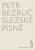 Slezské písně - Petr Bezruč,Jiří Flaišman,Michal Kosák,Kristýna Merthová