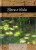 Slova o klidu - Helen Exley
