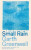 Small Rain - Garth Greenwell