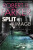Split Image - Robert B. Parker