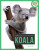 Spotlight on Nature: Koala - Melissa Gah