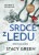 Srdce z ledu - Stacy Green