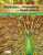 Statistics and Probability with Applications (High School) - Daren Starnes,Josh Tabor,Wilcox Luke