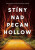 Stíny nad Pecan Hollow - Caroline Frost