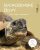 Suchozemské želvy - Chov, péče, porozumění - Manfred Rogner
