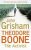 Theodore Boone: The Activist - John Grisham