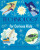 Technology for Curious Kids - Anna Claybourneová