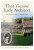 That Tiresome Lady Architect - Dorothy Reed,Lynne Dixon