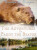 The Adventures of Paddy the Beaver - Thornton W. Burgess