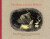 The Bear and the Wildcat - Kazumi Yumoto