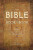 The Bible Book by Book - Richenda Milton-Daws