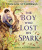 The Boy Who Lost His Spark - Maggie O’Farrellová