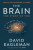 The Brain - David Eagleman