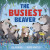 The Busiest Beaver - Lu Fraser
