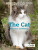 The Cat - Dr Anne  McBride,Ruth C  Newberry,Professor Bjarne O  Braastad