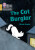 The Cat Burglar - Nicola Senior