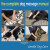 The Complete Dog Massage Manual - Julia Robertson