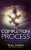 The Completion Process - Teal Swan