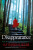 The Disappearance - Katherine Webbová