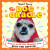 The Dog Oracle - Maybell Eequay
