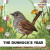 The Dunnock's Year - Caroline Petherbridge