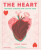 The Heart - Noemi Fabra