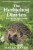 The Hedgehog Diaries - Sarah Sands