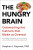 The Hungry Brain - Dr Stephan Guyenet