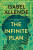 The Infinite Plan - Isabel Allende