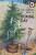 The Ladybird Book of Boxing Day - Jason Hazeley,Joel Morris