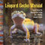 The Leopard Gecko Manual - Brian Viets,Thomas Mazorlig,Ron Tremper,Roger J. Klingenberg,Phillippe Vosjoli