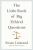 The Little Book of Big Ethical Questions - Susan Liautaud