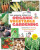 The Manga Guide to Organic Vegetable Gardening - Hideki Yoda