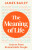 The Meaning of Life - James Bailey