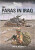 THE PARAS IN IRAQ - Craig Allen